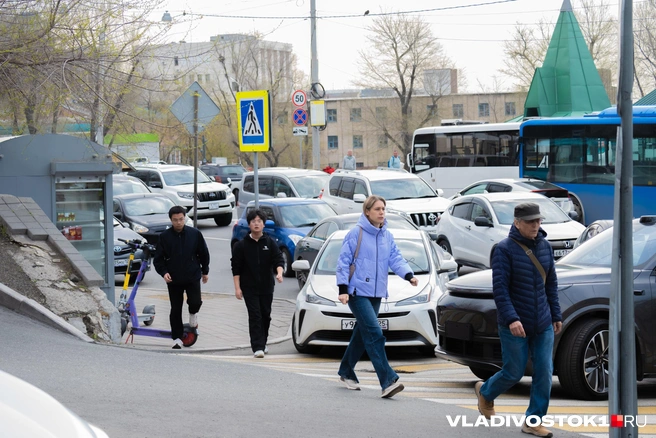Источник: Елена Буйвол / VLADIVOSTOK1.RU