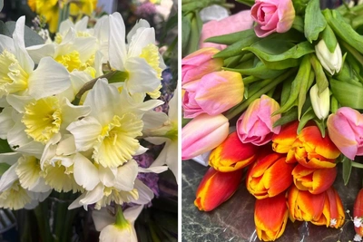 Стоимость цветов в Мурманске к 8 Марта: акция 4800 рублей