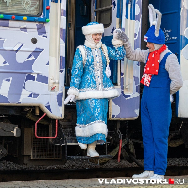 Источник: Елена Буйвол / VLADIVOSTOK1.RU