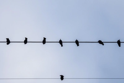 В Архангельске вечером пропал свет, но электричество вернули