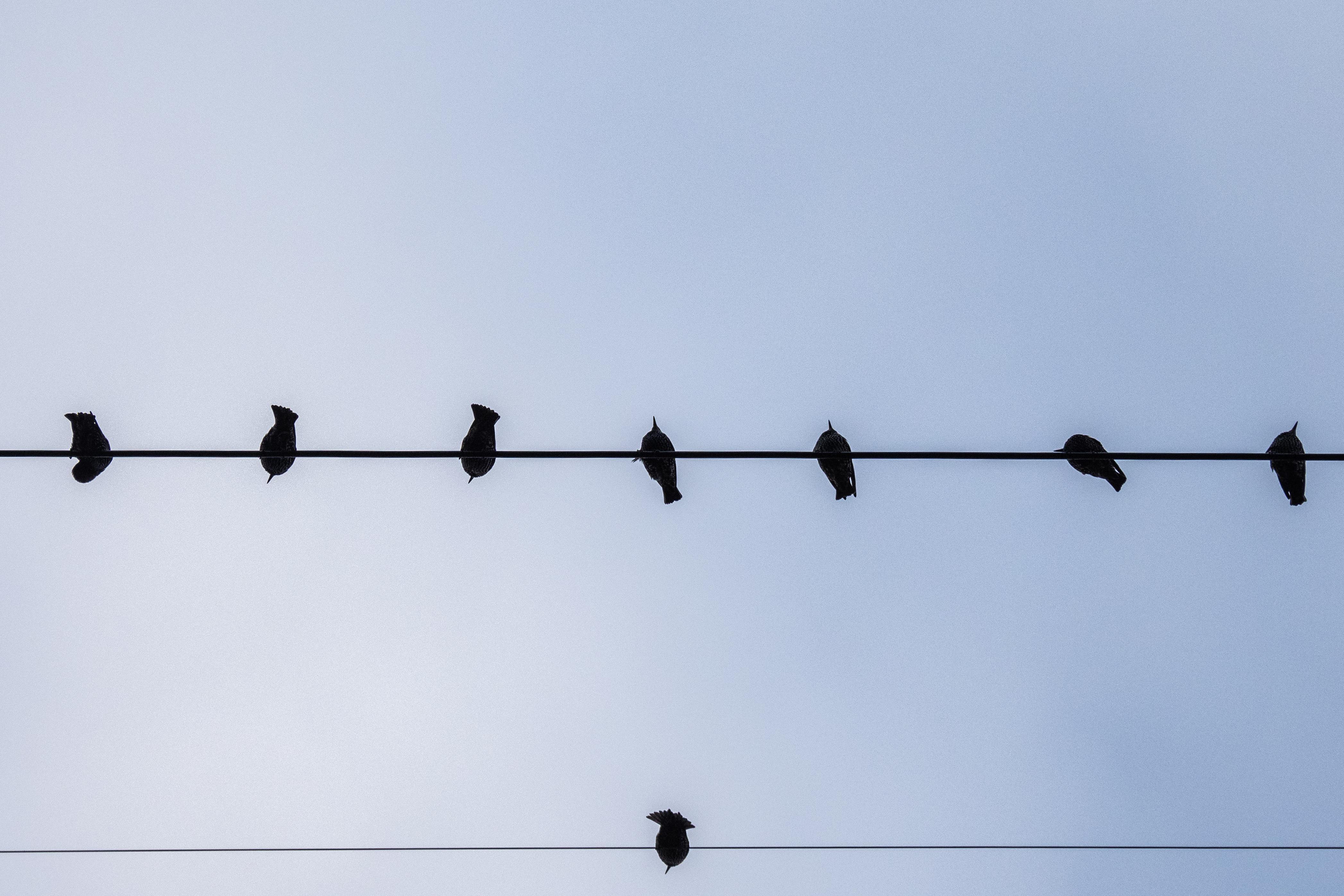 Нет интернета, но вернули электричество: у жителей Архангельска свет пропал вечером