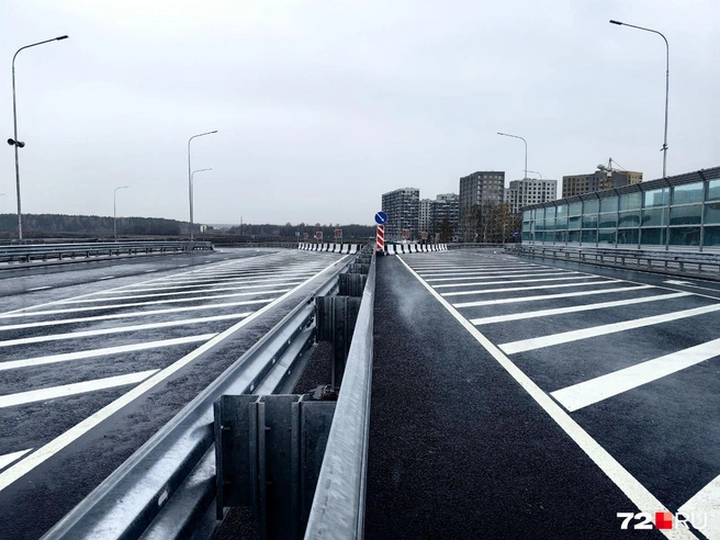 Запланированная дорога пройдет параллельно Московскому тракту | Источник: Павел Красоткин / 72.RU