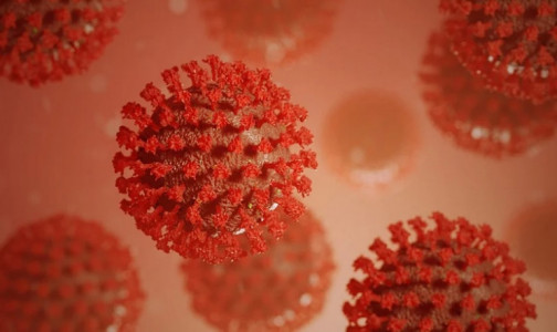 Анна Попова: В России выявили более 1,4 тысячи мутаций коронавируса, британского штамма не нашли