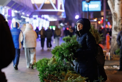 Волгоградцы активно готовятся к Новому году