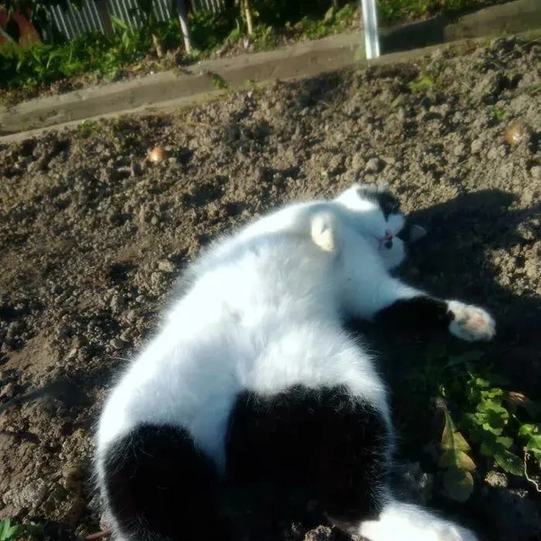 Источник: соцсети