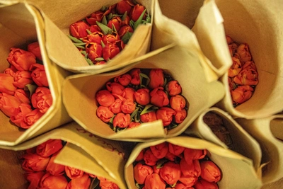 Сколько стоят тюльпаны и розы в Иркутске перед 8 марта