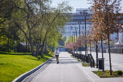 Летняя жара до +28°C в Новосибирской области