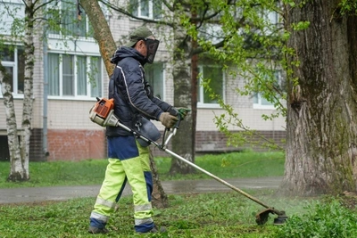 В Вологде начали косить траву раньше обычного