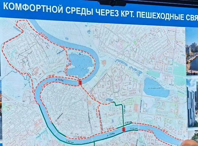 Пешеходные маршруты в центральной и других частях города | Источник: Павел Красоткин / 72.RU