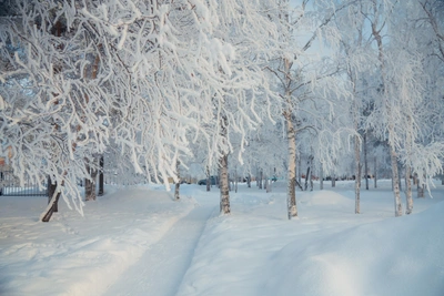 Морозы и снег ожидаются в Заполярье на выходных