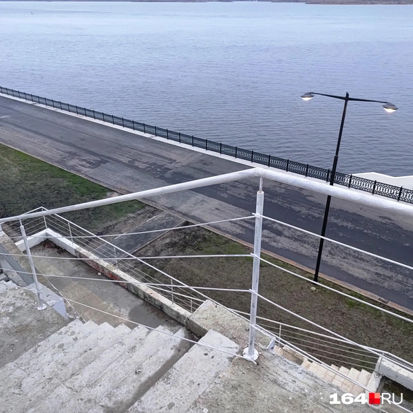 Источник: Сергей Гендин / 164.RU