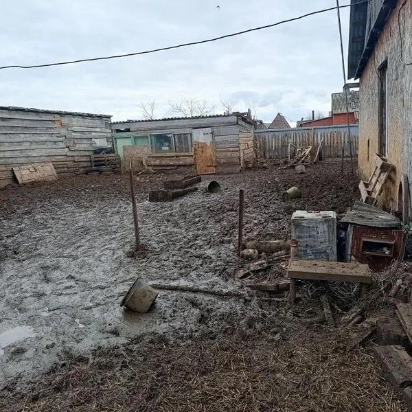 На это жаловались жители деревни | Источник: «Дарья Петина» / Vk.com