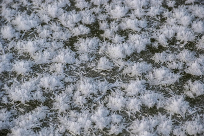 Rare Ice Flowers Bloom in Nizhny Novgorod