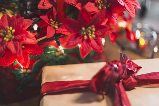 Источник: ru.freepik.com