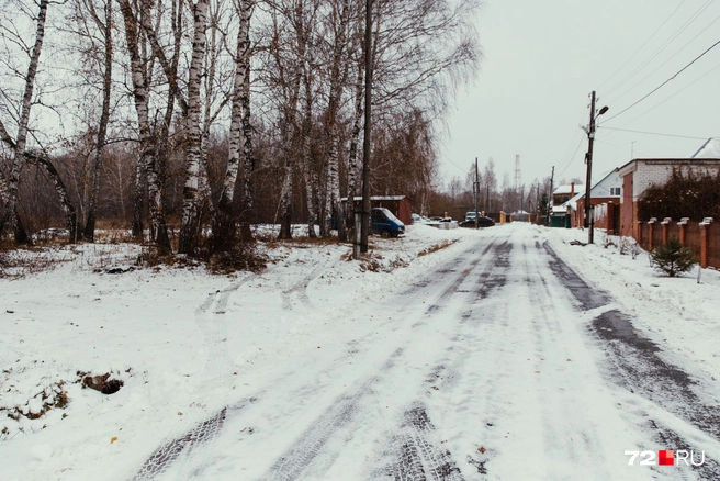 И на дорогу | Источник: Ирина Шарова / 72.RU