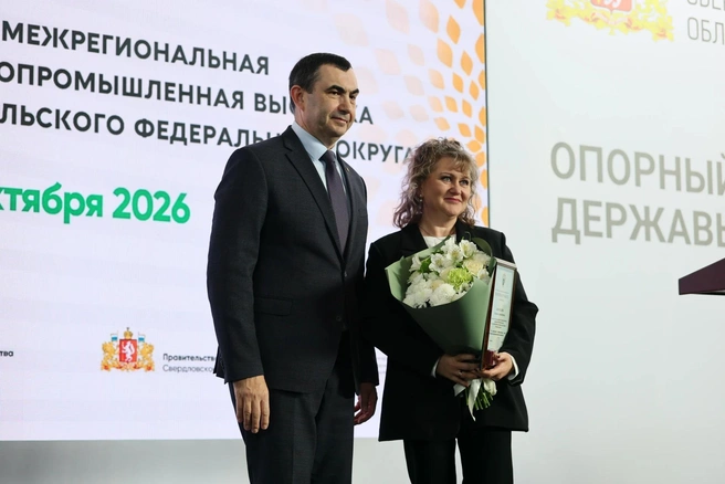 Источник: пресс-служба правительства Челябинской области 