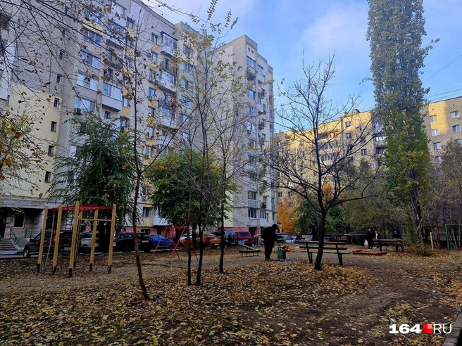 Двор живет прежней жизнью  | Источник: Виктория Федорова / 164.RU