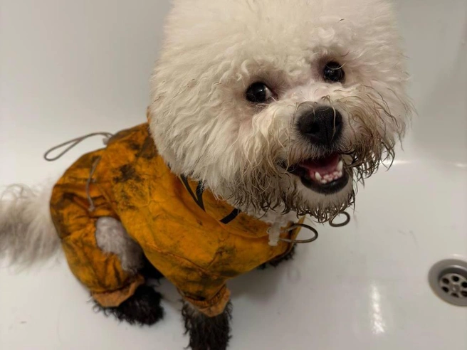 Источник: читательница E1.RU Анна