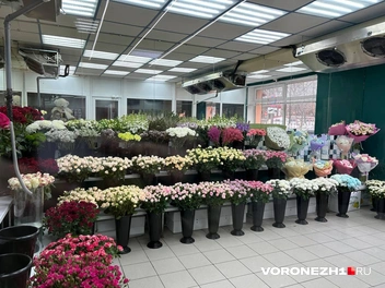 Источник: Мария Мишукова / Voronezh1.ru