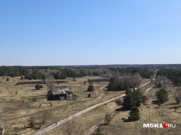 Дорога, ведущая в сторону Припяти | Источник: Михаил Мечев / MSK1.RU