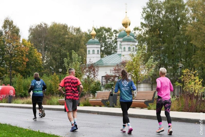 Источник: st.cherinfo.ru