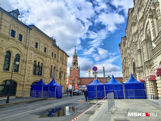 Источник: Полина Громова / MSK1.RU