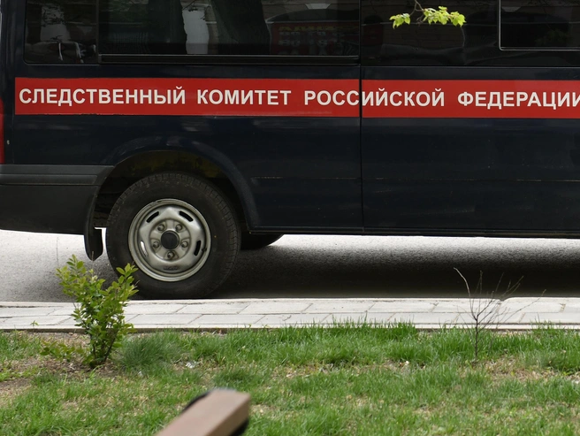 Следователи предъявили обвинение в убийстве | Источник: Артём Устюжанин / E1.RU