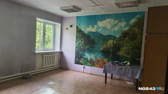 Источник: Елена Гуськова / NGS42.RU
