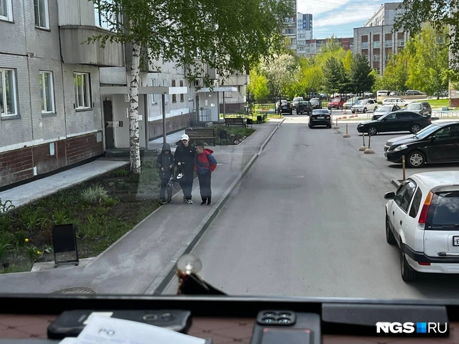 Разглядеть пешехода из кабины получается далеко не всегда | Источник: Анна Скок / NGS.ru
