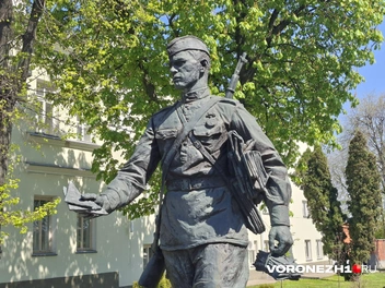 Источник: Алёна Воропаева / Voronezh1.ru