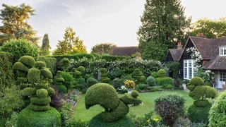 Сад с топиариями в Гэмпшире