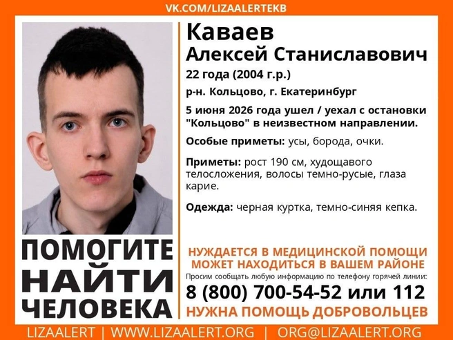 Источник: Поисковый отряд «ЛизаАлерт» Свердловской области