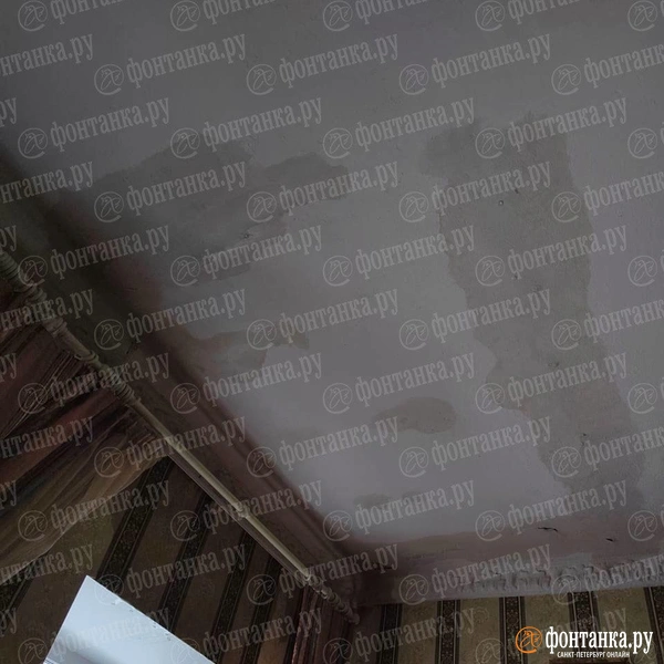 Протечка в квартире на улице Ломоносова | Источник: Читатель «Фонтанки»