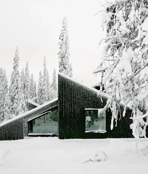 55 м² уюта: норвежский дом, который сливается с лесом