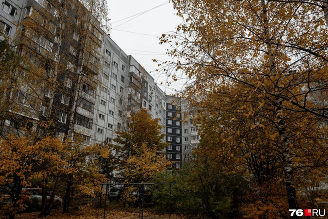 Но осень раскрашивает дворы в насыщенные оранжевые оттенки | Источник: Александр Куренной / 76.RU