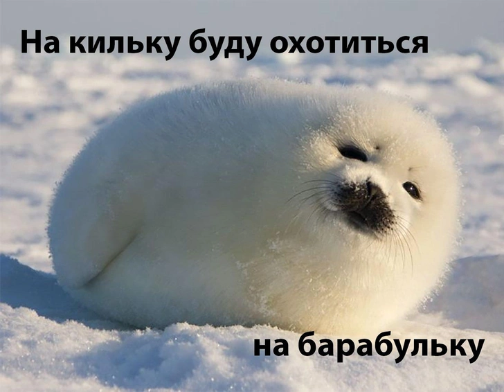 Источник: Соцсети