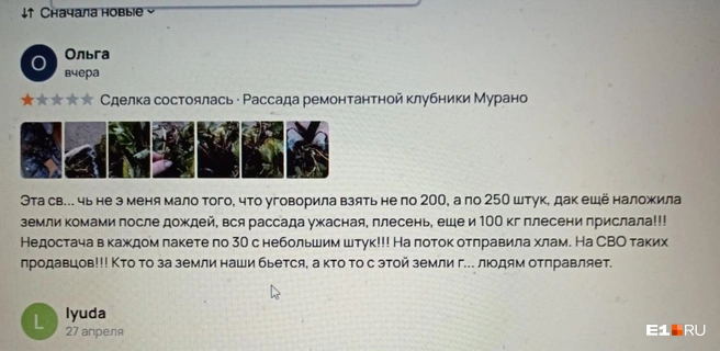Продавец рассады часто меняет страницы, чтобы избавиться от разгневанных покупателей | Источник: читатель E1.RU Алексей