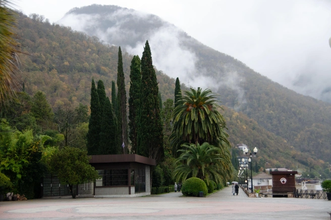 Разве это похоже на зиму? Для Абхазии — еще как. Это местная зима: без снега, но с особой атмосферой спокойствия, свежей зеленью и пустынными набережными | Источник: Оксана Витяpь / SOCHI1.RU