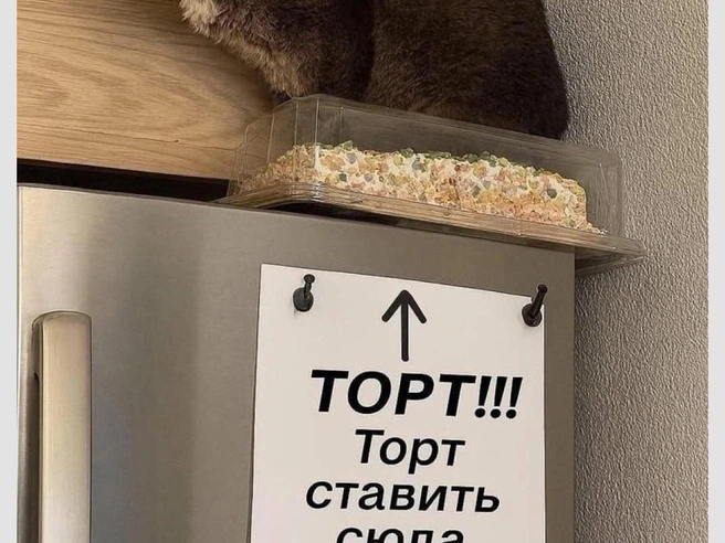 Хорошо, что не лег | Источник: Городские медиа