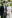 Фото №16 - Лучшие образы на открытии Royal Ascot 2019 (и несколько безумных шляп)