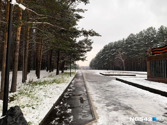 Как говорят жители, парк&nbsp;— это самое красивое место в их районе | Источник: Татьяна Ирискина / NGS42.RU