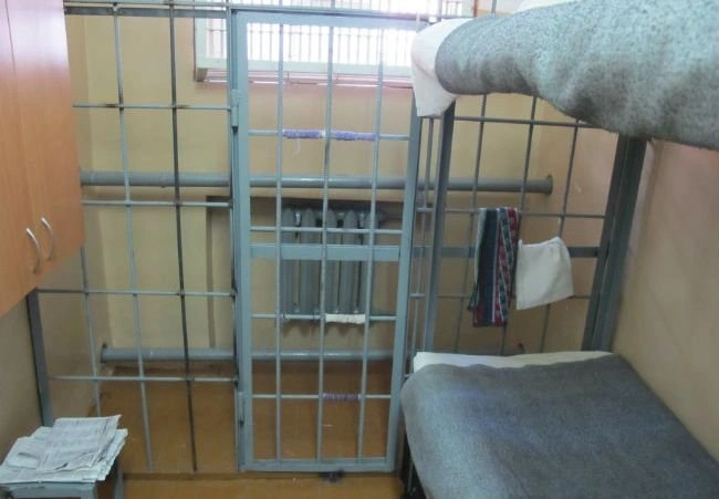 Мать двоих детей из Тамбова осуждена в Рязани | ya62.ru