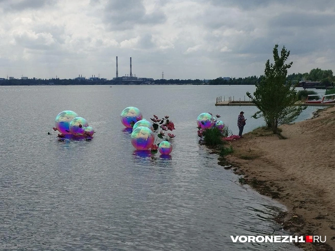 Зато возле них фотографировались люди | Источник: Дмитрий Волгин / Voronezh1.ru
