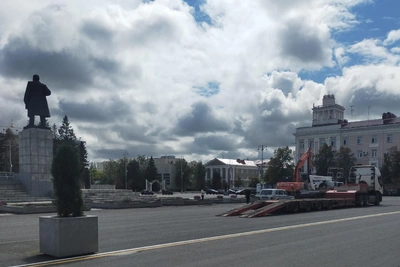 В Кургане спилили новые ели на центральной площади