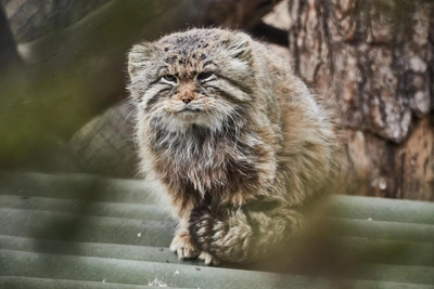 Прогноз погоды в Иркутске на воскресенье