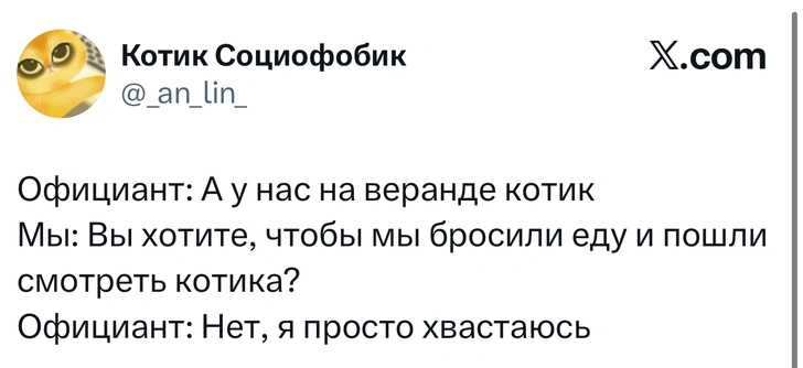 Источник: X (Twitter)