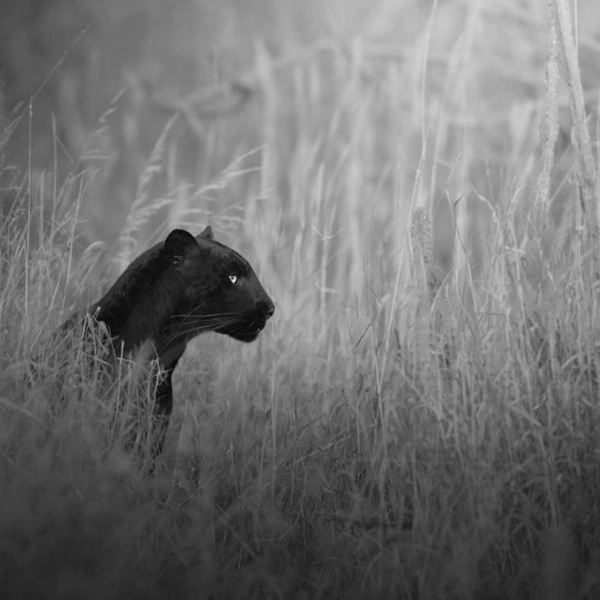 Источник: Marcello Galleano / Exposure One Awards 2025