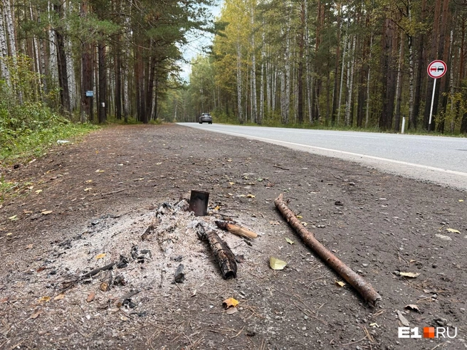Остатки от разведенных костров | Источник: Дарья Костомина / E1.RU