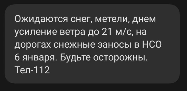 На дорогах могут возникнуть снежные заносы | Источник: НГС