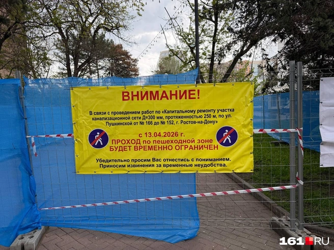 Источник: Евгений Вдовин / 161.RU